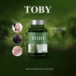 TOBY Horsetail