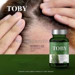 TOBY Horsetail