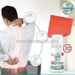 Amrutanjan Back Pain Roll On 