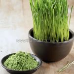 Barley Grass Powder