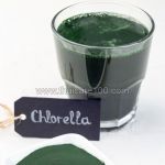 Chlorella Powder