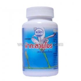 The agent for treating colds and lung diseases Fah Talai Jone (Andrographis paniculata)