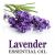 Lavender oil. health and beauty