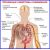 Crown and pneumonia. Prevention