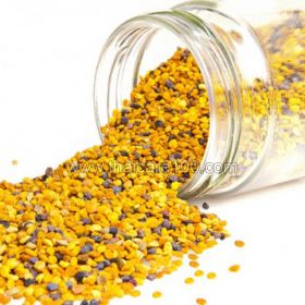 Bee Pollen 