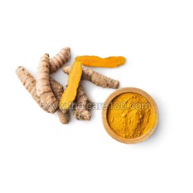 Java Turmeric Curcuma Xanthorrhiza Powder