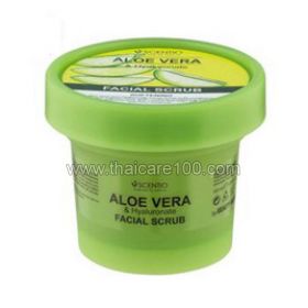 Aloe Vera Moisturizing Facial Scrub Beauty Buffet Scentio