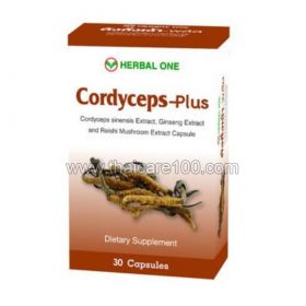 Cordyceps Capsules Sordyceps plus-plus Herbal One