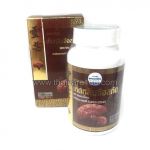 Capsules Extract Lingzhi-biostimulator of immunity