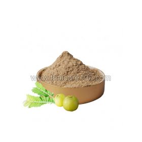 Indian gooseberry (emblica) powder Phyllanthus emblica