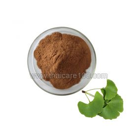 Ginkgo Biloba Leaves Powder (Ginkgo Biloba Leaves Powder)