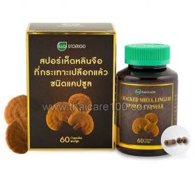 Lingzhi Mushroom Spore Khaolaor Ganoderma Lucidum 60 Capsules