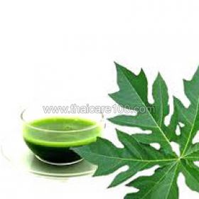 Dried papaya leaves for cancer and for healing the body (30 gramm)