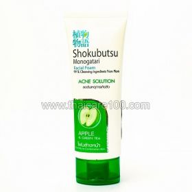 Foam cleanser for oily and combination skin acne Shokubutsu