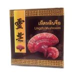 Dried mushroom Linchzhi- "Mushroom of Immortality"