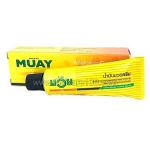 Analgesic cream "Muay Thai boxing» Namman Muay Thai Cream