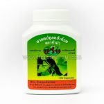 Capsules Ginkgo biloba for memory and nervous system Ginkgo Biloba capsule