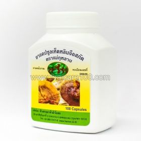 Capsules Lingzhi (Mushroom of Immortality) for the prevention of cancer and age-related diseases