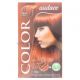 Persistent cream hair dye with keratin Audace Color Plus Keratin No.3 color Mahogany